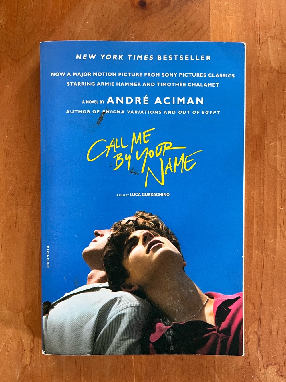 Call Me By Your Name, Andre Aciman - Romance novel, novel, book